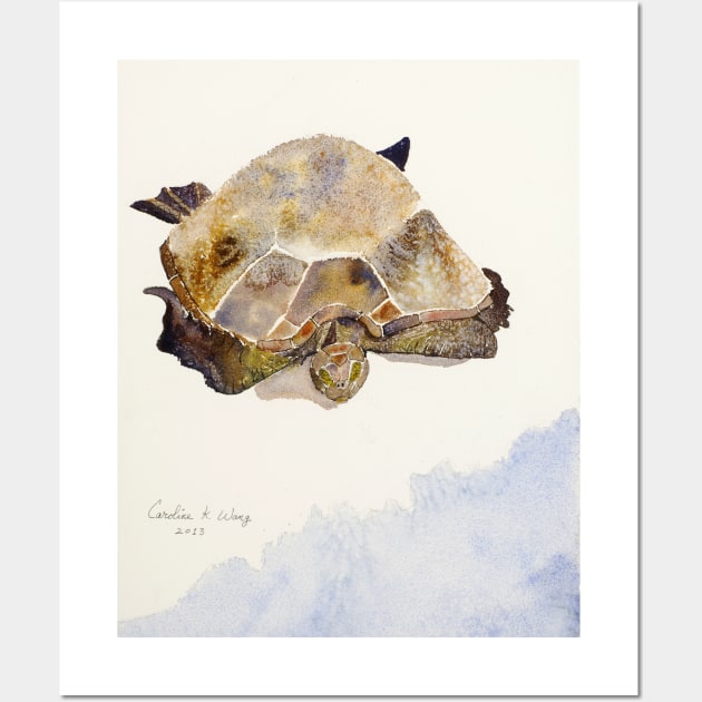 Sea Turtle Wall Art by Cwang